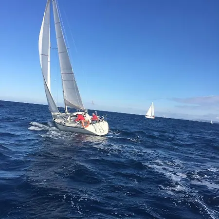 Sea 阿尔盖罗