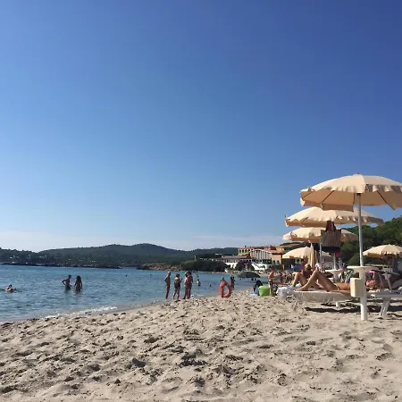 Sea 阿尔盖罗